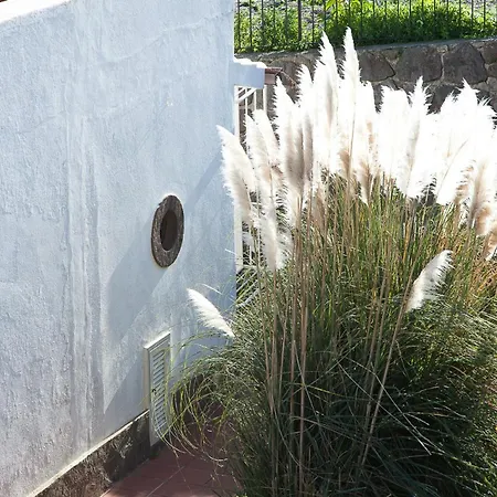 Olivetta Villa *