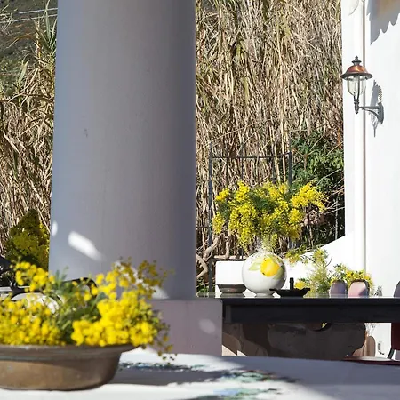 Olivetta Villa Lipari (Isola Lipari)