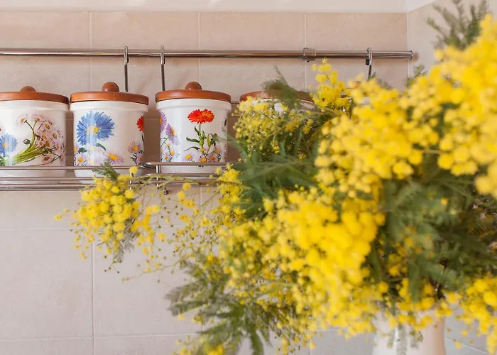 Olivetta * Λίπαρι